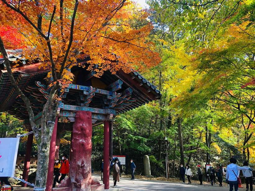 Seoul: Autumn Foliage - Mt. Naejang + Jeonju Hanok Village - Getting up the mountain: walking time, a possible shuttle, and photo-friendly pacing