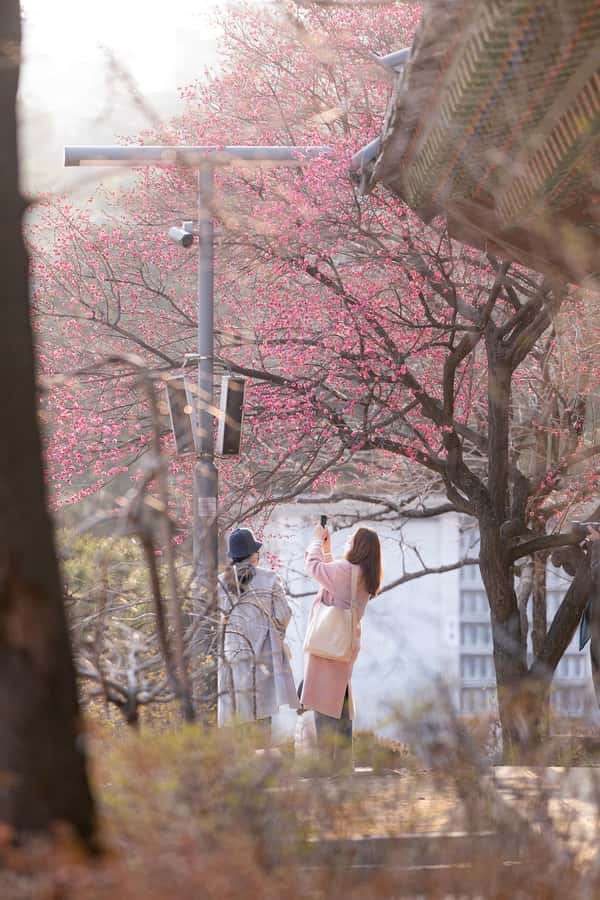Seoul: Bongeunsa Temple and Gourmet Night Tour in Gangnam - How the four hours usually feel, from start to finish