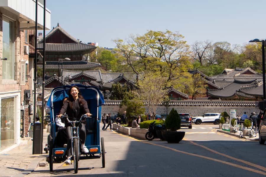 Seoul: Bukchon Hanok Village Pedicab Tour - Price and Logistics, the real value question
