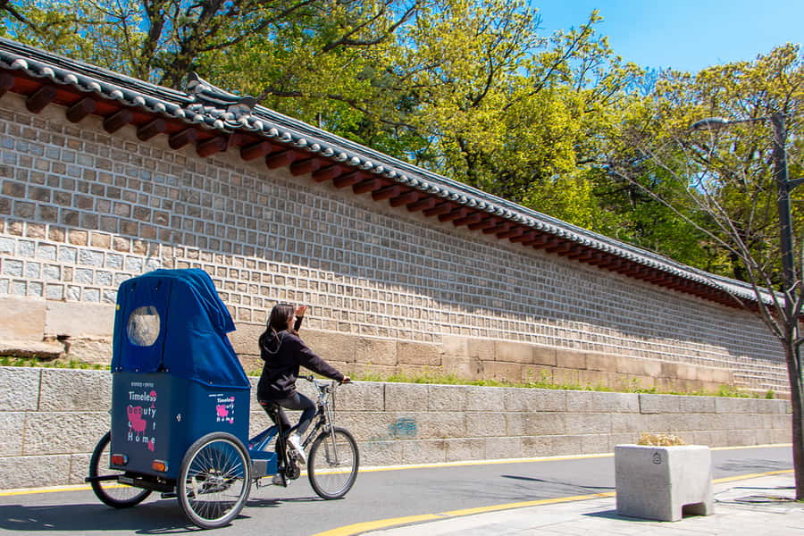 Seoul: Bukchon Hanok Village Pedicab Tour - Constitutional Court of Korea area, finishing with a strong sense of place