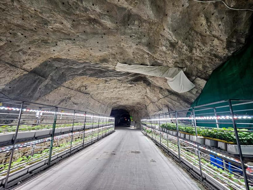 Seoul: Chungju Cruise, Cable Car & Cave Kayak Adventure Tour - Price and Value: Is $69 a Good Deal?