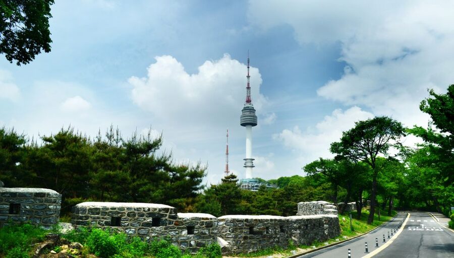 Seoul: City Highlights Full or Half Day Custom Private Tour - Outskirts full-day: Nami Island or DMZ style extensions