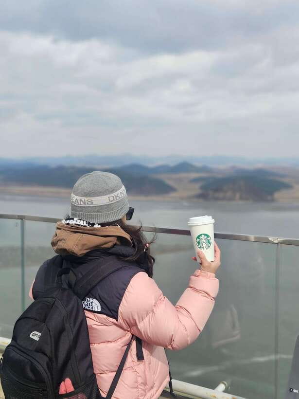 Seoul: Closest DMZ Observatory with North Korea View (1.4km) - Who Should Book This DMZ-Adjacent Viewpoint Tour