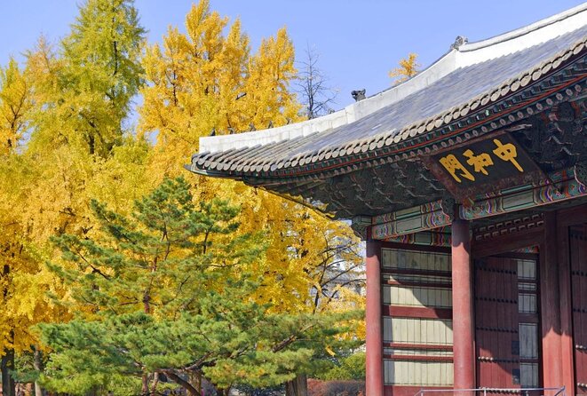 Seoul: Deoksugung Palace Night Tour - The Daehan Empire Story, Explained Through Stops (Not Lectures)
