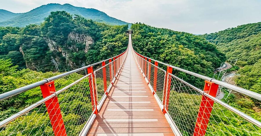 Seoul: DMZ, 3rd Tunnel and Optional Suspension Bridge Tour - Choosing Your DMZ Day: Half-Day, Full DMZ, and Suspension Bridge Options