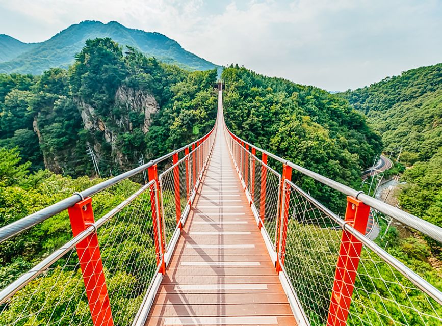Seoul: DMZ, 3rd Tunnel and Optional Suspension Bridge Tour - Dora Observatory: Seeing How Watching Works on a Wired Line