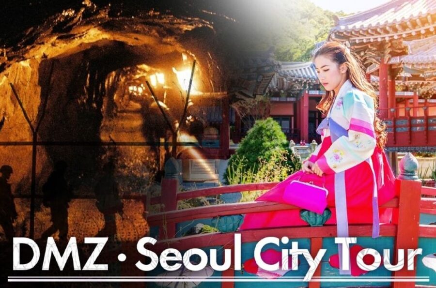Seoul: DMZ, Gyeongbokgung Palace & City Tour - Price and Value: What $110 Buys You and What It Does Not