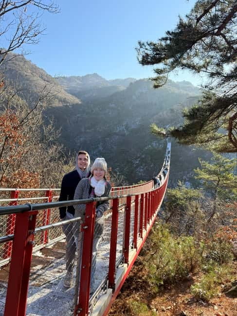 Seoul: DMZ Tour & North Korean Defector Meet Up (As Add-on) - Optional Suspension Bridge: Only If the Timing Works