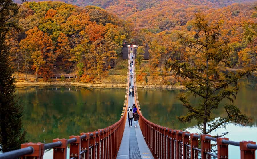 Seoul: DMZ Tour & Suspension Bridge (Option English/Spanish) - Key Things I’d Not Skip on This DMZ Day