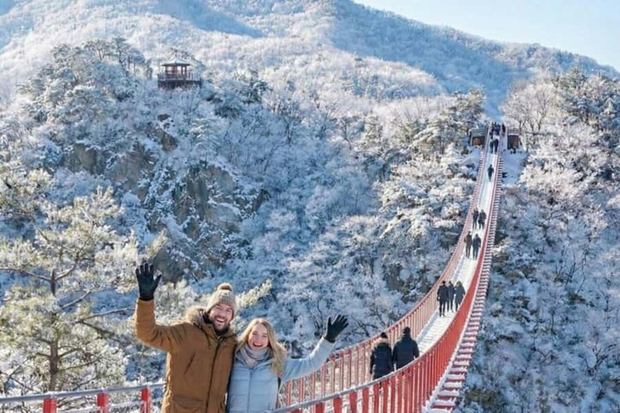 Seoul: DMZ Tour with Exclusive North Korean Defector Talk - Key things that make this DMZ experience worth your time