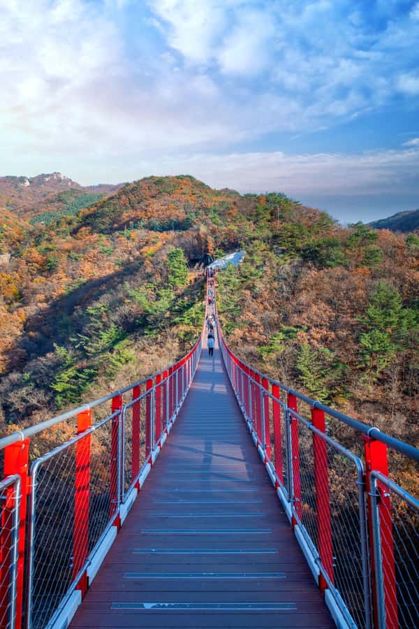 Seoul: DMZ Tour with Optional Suspension Bridge and Gondola - Unification Village and the Shift in Mood