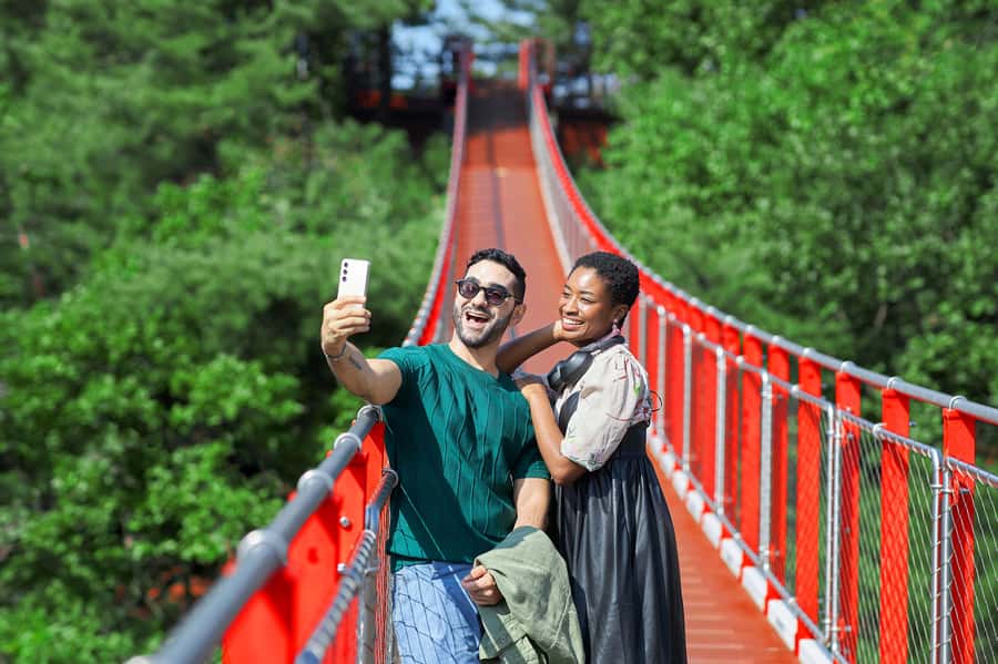 Seoul: DMZ Tour with Optional Suspension Bridge and Gondola - Picking Your Option: Classic DMZ vs Monday Views vs Gondola