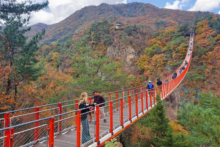 Seoul: DMZ with Optional Suspension Bridge & Gondola - Why the Seoul DMZ feels like more than sightseeing
