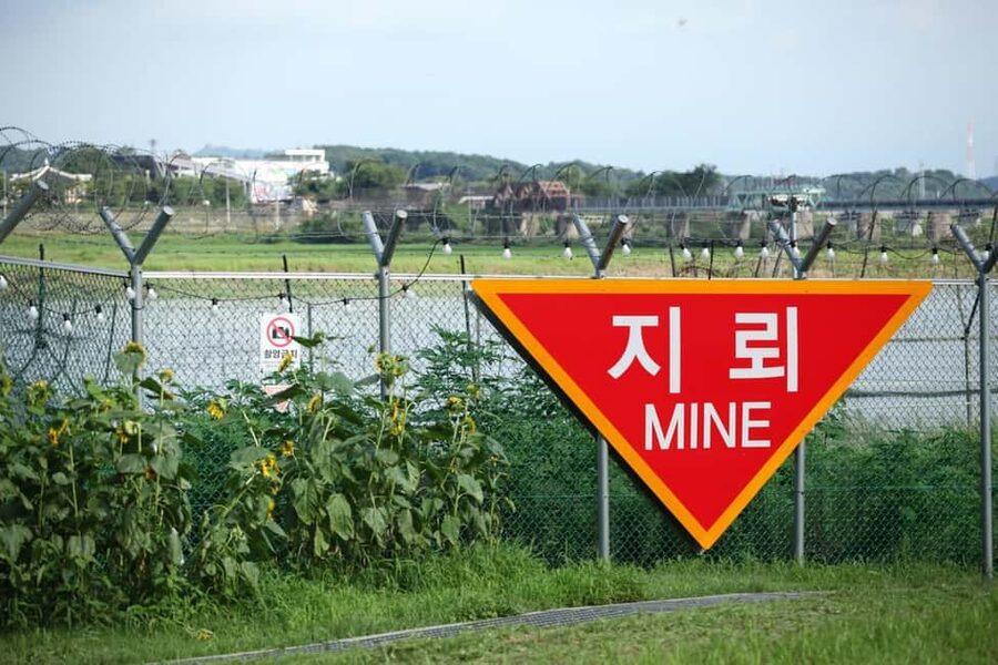 Seoul: DMZ with Optional Suspension Bridge & Gondola - Group size, guide style, and why it makes or breaks the day