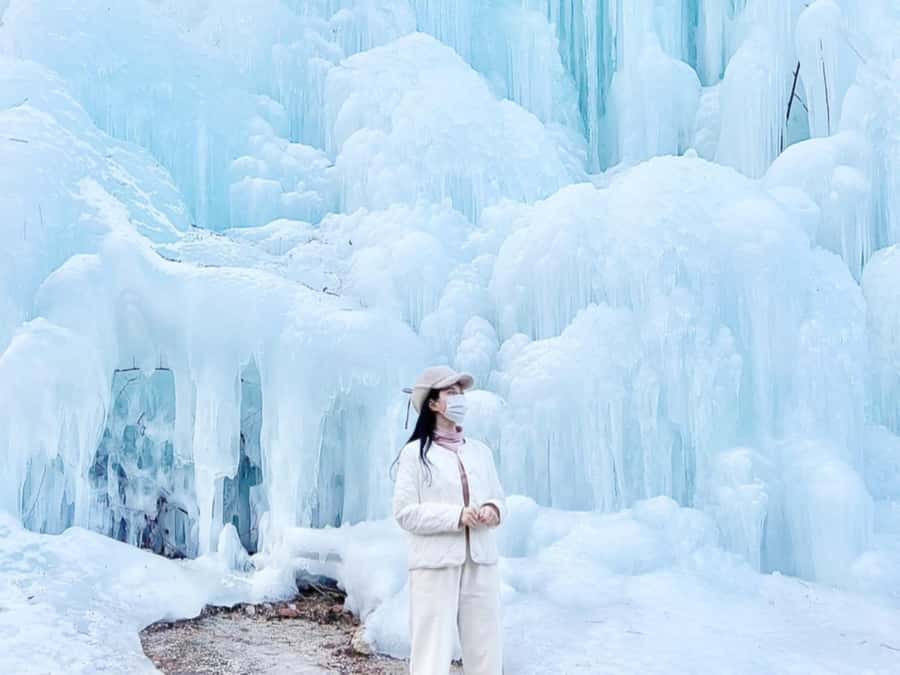 Seoul: Elysian Gangchon Winter Ski Resort Fun Day Tour - Picking Your Package: Shuttle, Ski, Snowboard, Sled, or Sightseeing