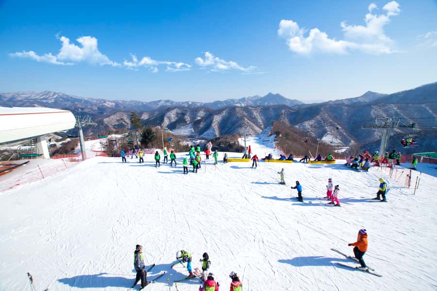 Seoul: Elysian Gangchon Winter Ski Resort Fun Day Tour - From Rental Counters to First Turns: What Happens After Arrival