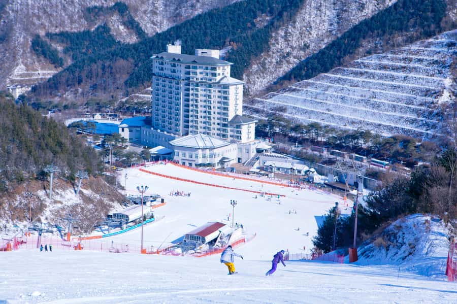 Seoul: Elysian Gangchon Winter Ski Resort Fun Day Tour - The Lesson: Why 1 Hour Often Beats Trying to Teach Yourself