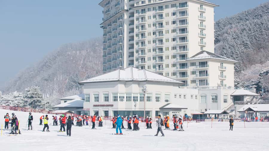 Seoul: Elysian Gangchon Winter Ski Resort Fun Day Tour - Price and Value: Is $15 a Good Deal?