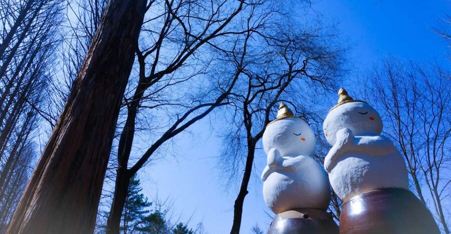 Seoul: Elysian Gangchon Winter Ski with Nami Island Day Tour - Key highlights at a glance