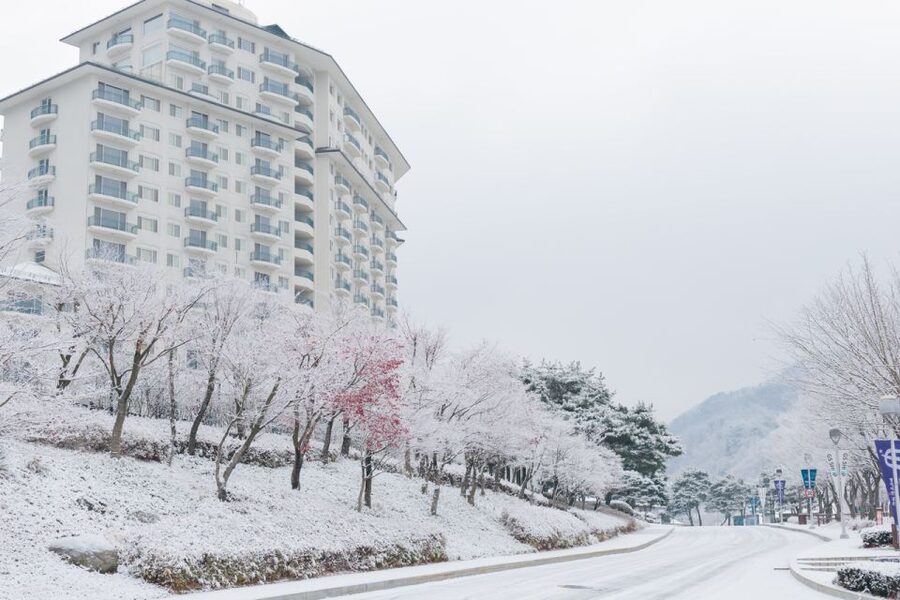 Seoul: Elysian Gangchon Winter Ski with Nami Island Day Tour - Small costs to plan for: gloves, goggles, helmet, and pads