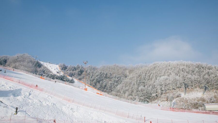 Seoul: Elysian Gangchon Winter Ski with Nami Island Day Tour - The afternoon shift: reaching Elysian Gangchon by 1:30pm