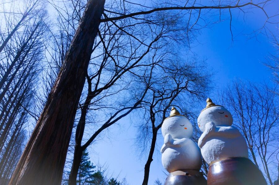 Seoul: Elysian Gangchon Winter Ski with Nami Island Day Tour - Ski and snowboard day: gear, moving walk access, and the 1-hour lesson