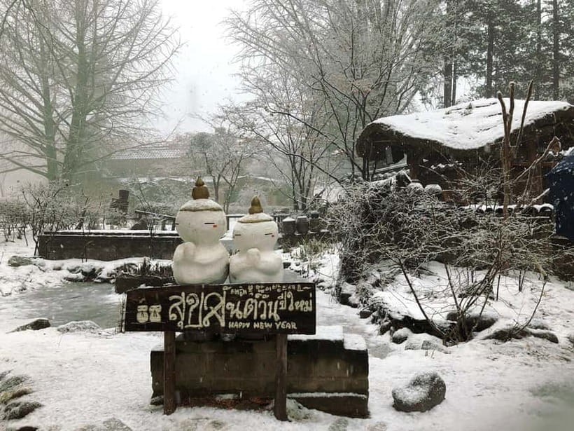 Seoul: Eobi+Nami+Hanbok(+RailBike or Strawberry Options)Tour - Who this tour is best for (and who should skip it)