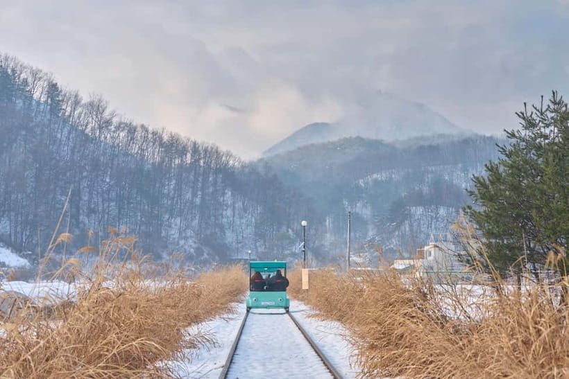 Seoul: Eobi Valley(Winter), Strawberry, Nami Island and Bike - Key things you will notice on this tour