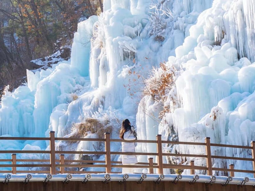 Seoul: Eobi Valley(Winter), Strawberry, Nami Island and Bike - Should you book this Seoul winter day trip?