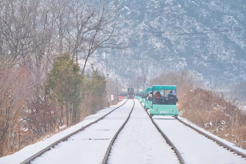 Seoul: Eobi Valley(Winter), Strawberry, Nami Island and Bike - How to make this day feel easier: timing, meet points, and what to pack