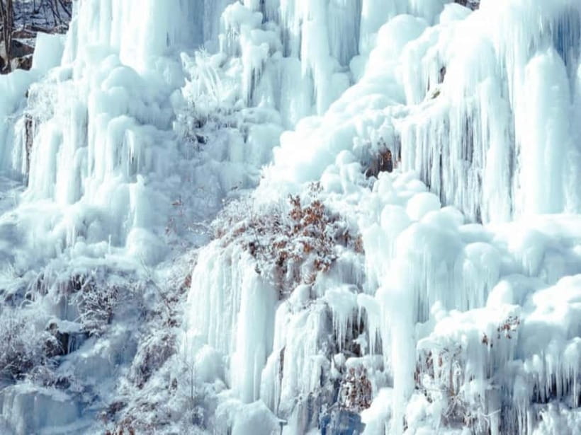 Seoul: Eobi Valley(Winter), Strawberry, Nami Island and Bike - Who this tour suits best, and who might not love it