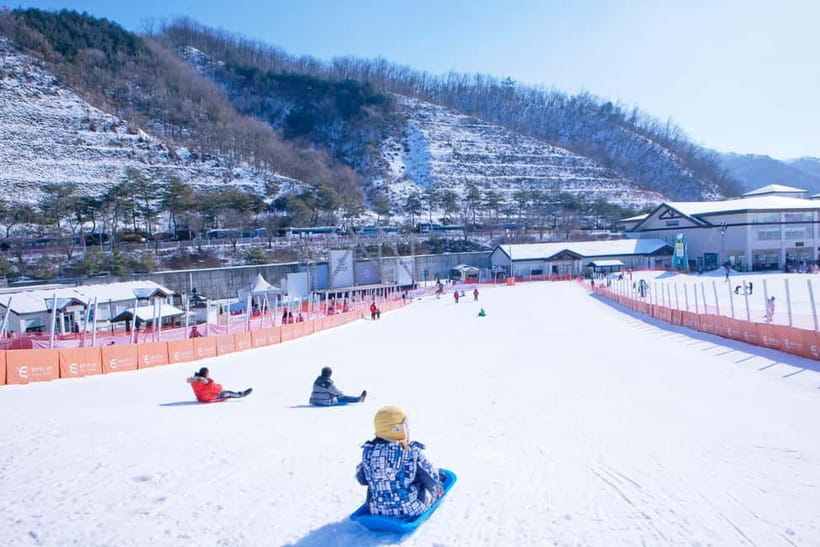 Seoul: Full-Day Winter Trip Ski Resort, Ice Valley, Namiseom - Key things to know before you go