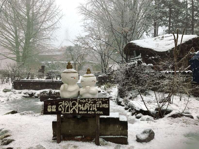 Seoul: Full-Day Winter Trip Ski Resort, Ice Valley, Namiseom - Choosing your snow option: how the included gear changes everything