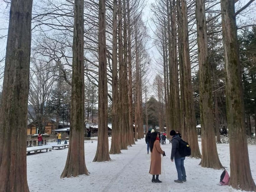 Seoul: Full-Day Winter Trip Ski Resort, Ice Valley, Namiseom - The beginner lesson: why that first hour matters