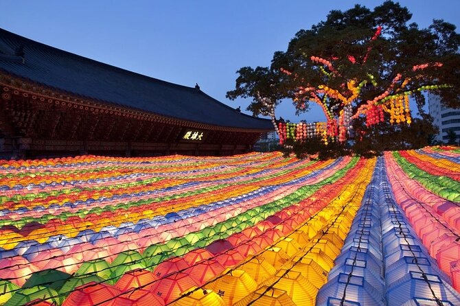 Seoul Fun Private Tour (customizable) - How you set your route with Suha before you meet