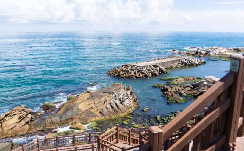 Seoul: Gangneung BTS K-Pop & K-Drama Filming Locations Tour - Haslla Art World: modern art installations with a seaside attitude