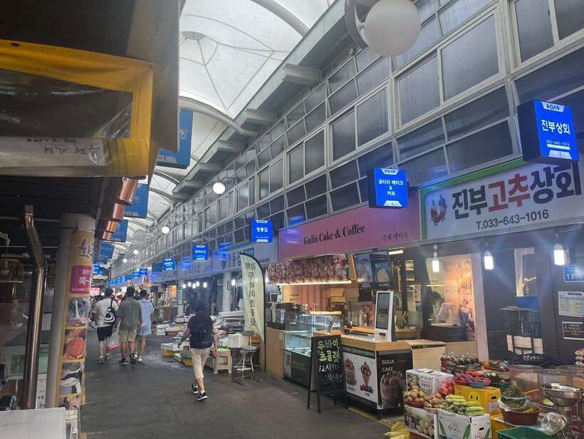Seoul: Gangneung BTS K-Pop & K-Drama Filming Locations Tour - Price and value: what you pay for at $104