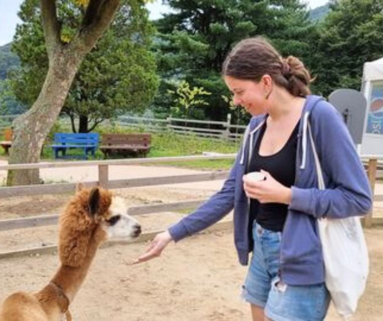 Seoul: Gangwon-do Day Trip with Alpaca World & Nami Island - Gangchon rail-bike option: countryside fun with Bukhan River views