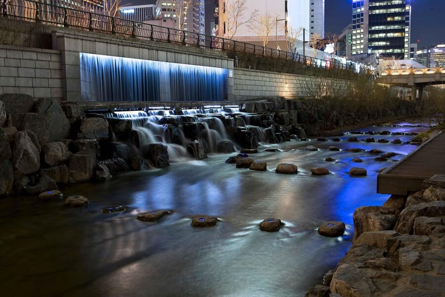 Seoul Gwangjang Market Foody Walking Tour - Pace, group vibe, and what your day needs