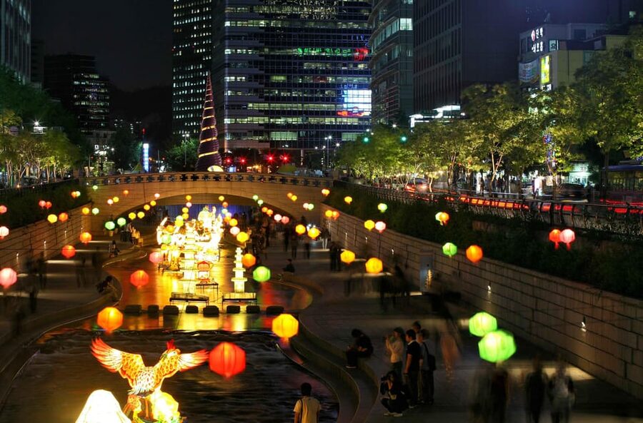 Seoul Gwangjang Market Foody Walking Tour - Who this tour is best for