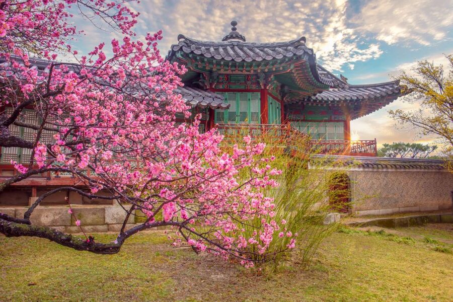 Seoul: Gyeongbok Palace and Bukchon Hanok Walking Tour - The National Folk Museum inside the palace: what 98,000 artifacts actually means
