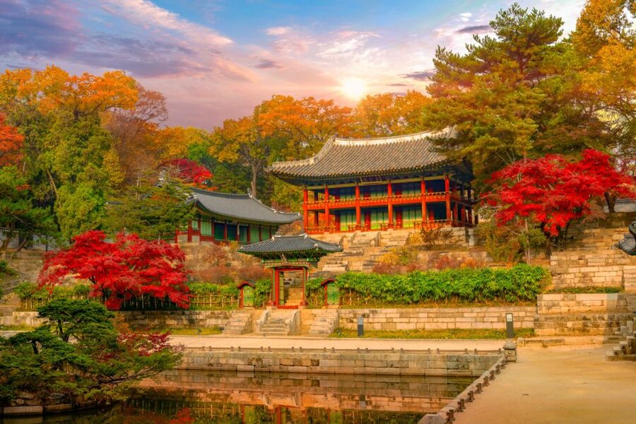 Seoul: Gyeongbok Palace and Bukchon Hanok Walking Tour - Bukchon Hanok Village and Samcheongdong Alley, where old houses meet real streets
