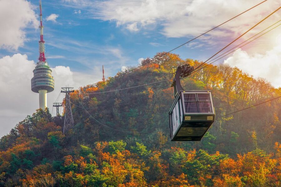 Seoul: Gyeongbok Palace and Bukchon Hanok Walking Tour - How the guide helps you use public transport and talk like you belong