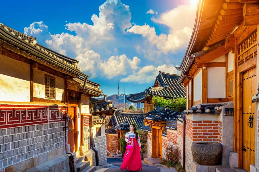 Seoul: Gyeongbokgung / Hanok Village / N Seoul Tower - Lunch that keeps the day moving: Samgyetang