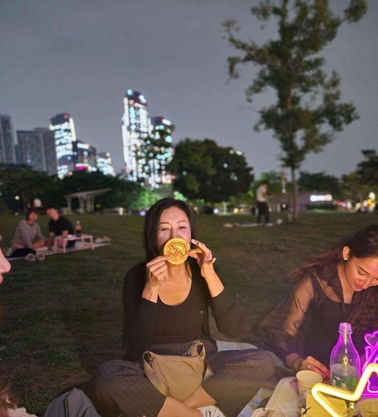 Seoul: Han River Guided Night Cruise and Hangang Park Picnic - Hangang Park picnic party: chicken, tteokbokki, and the drinks that loosen everyone up