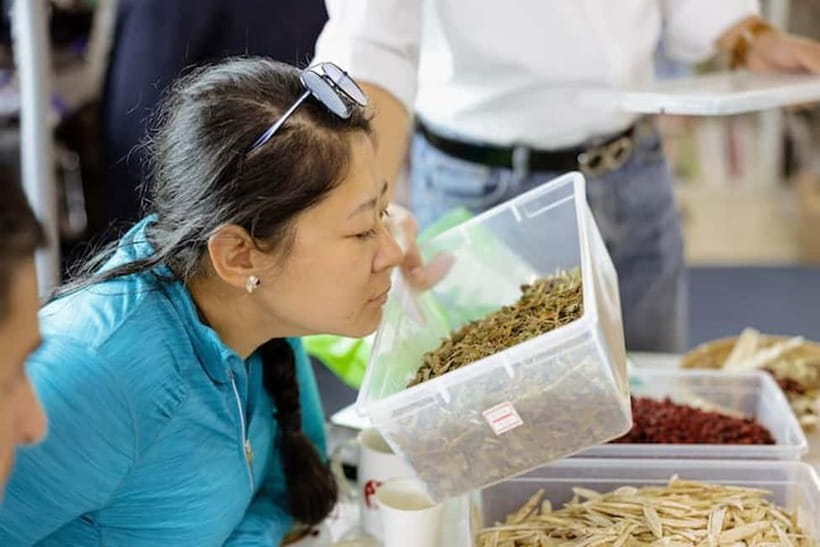 Seoul: herbal tea class & Korean Medicine tour - Group size and language: how to get the most out of it