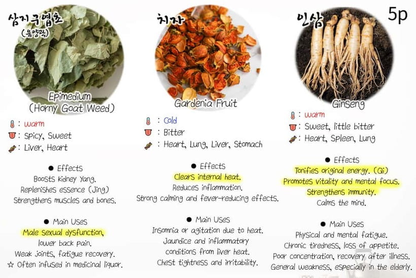 Seoul: herbal tea class & Korean Medicine tour - Small “considerations” that matter on the day