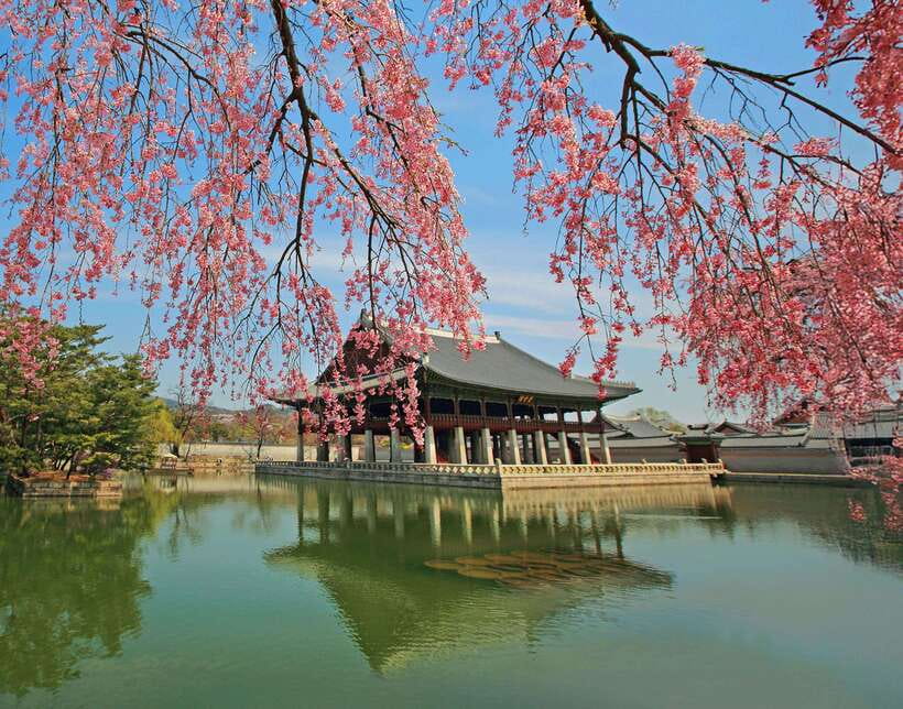 Seoul Highlights: Gyeongbok Palace, Insadong & N Seoul Tower - Key highlights worth your attention