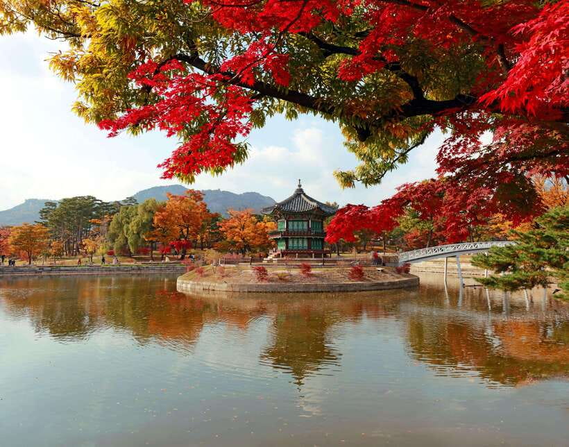 Seoul Highlights: Gyeongbok Palace, Insadong & N Seoul Tower - How the route works, and why that matters for a 4- or 8-hour day