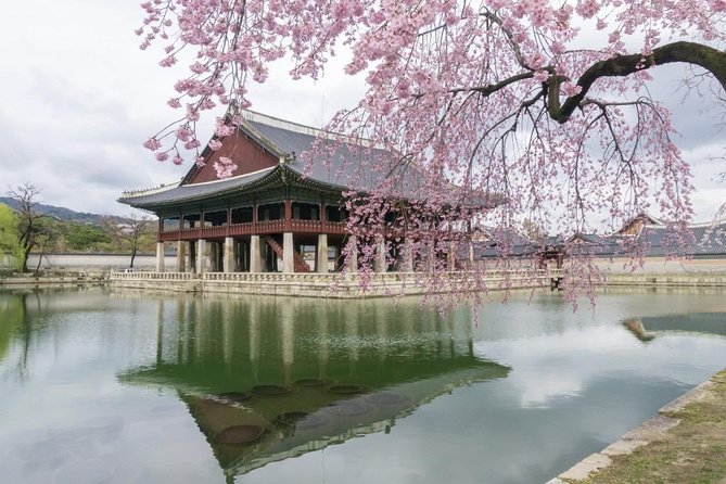 Seoul Highlights & Hidden Gems - Private Tour with Photo Service - Why a photo-first private tour makes Seoul easier